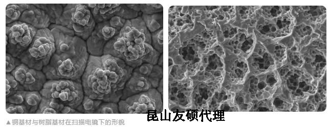 鄂州蔡司鄂州扫描电镜